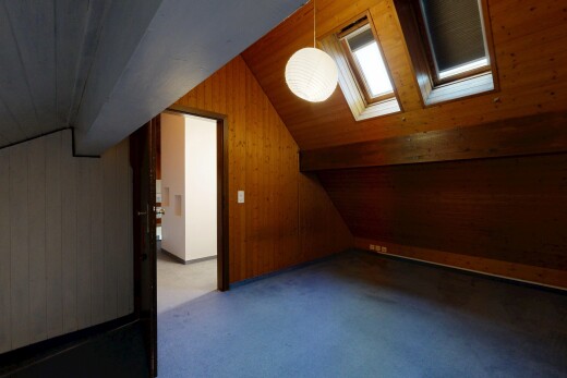 carpeted spare room featuring wood walls, vaulted ceiling, and a skylight