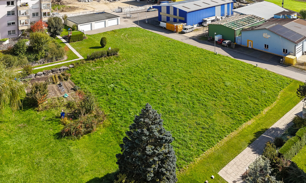 view of garden