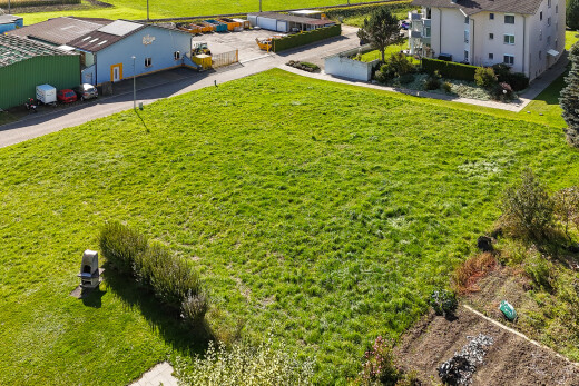 jardin avec pelouse