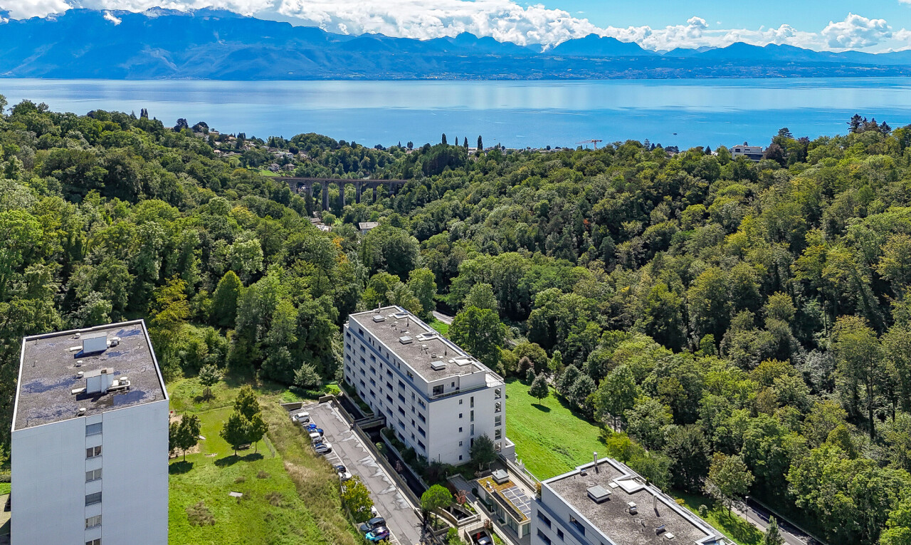 vue sur la montagne avec day time, aerial view, forest view, et vue sur la forêt