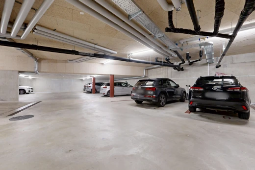 parken mit parkgarage