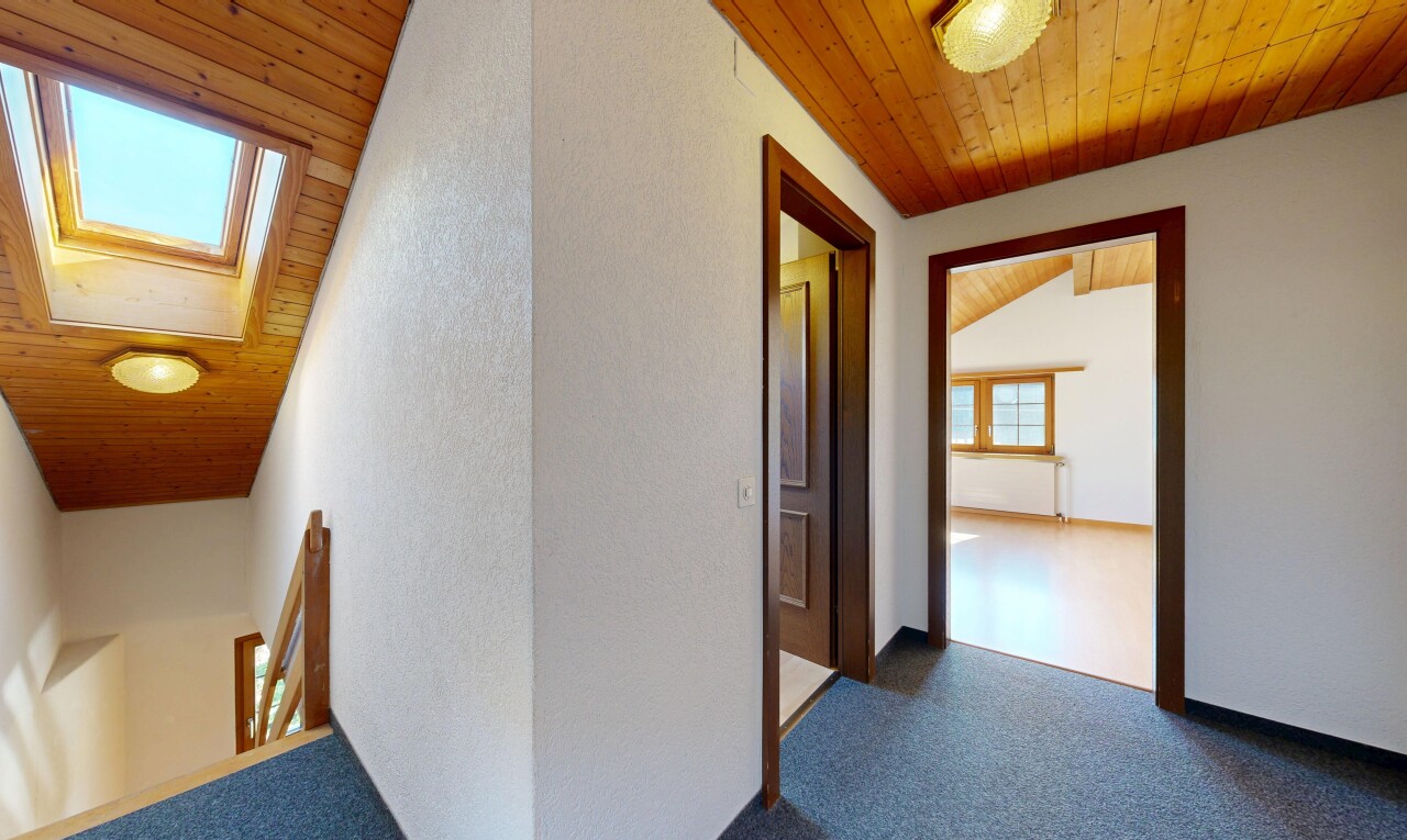 couloir avec natural light, lumière naturelle, wood ceiling, plafond en bois, et carpet