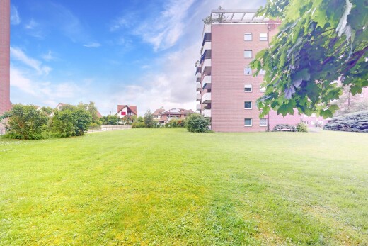 garten mit day time und rasen