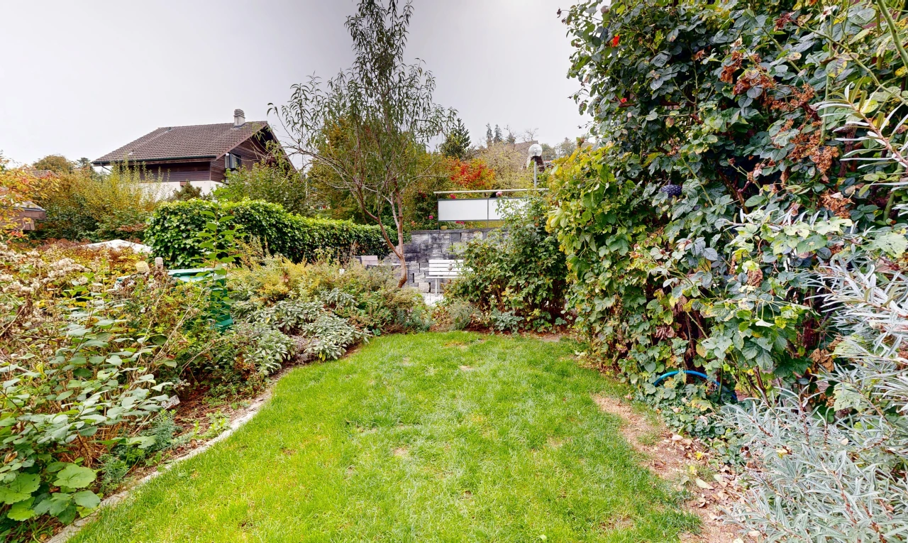 garten mit rasen und overcast
