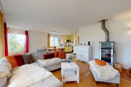 wohnzimmer mit holzofen, natürliches licht, gipskartonwand, drywall, und inside property