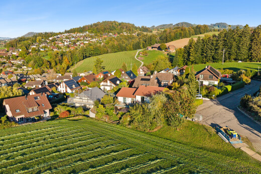 blick auf die berge mit blick auf obstgarten/agrarland, orchard / agricultural view, und day time