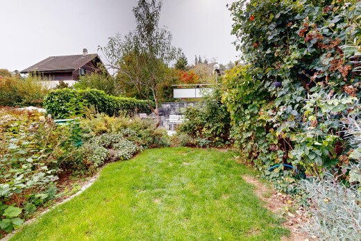 garten mit rasen und overcast
