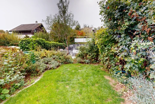 garten mit rasen und overcast