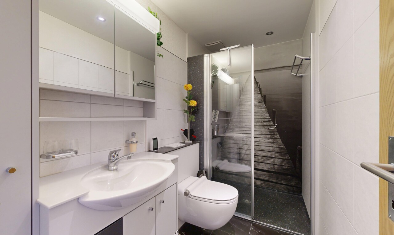 salle de bains avec miroir, toilette, douche, lavabo (ou coiffeuse selon le contexte), et salle de bain complète