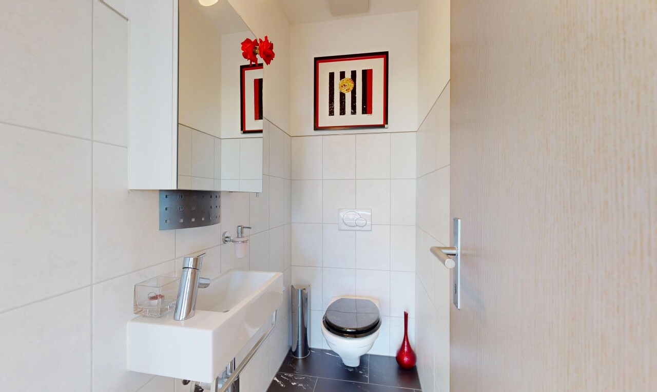 salle de bains avec toilette, miroir, inside property, évier, et dark floor