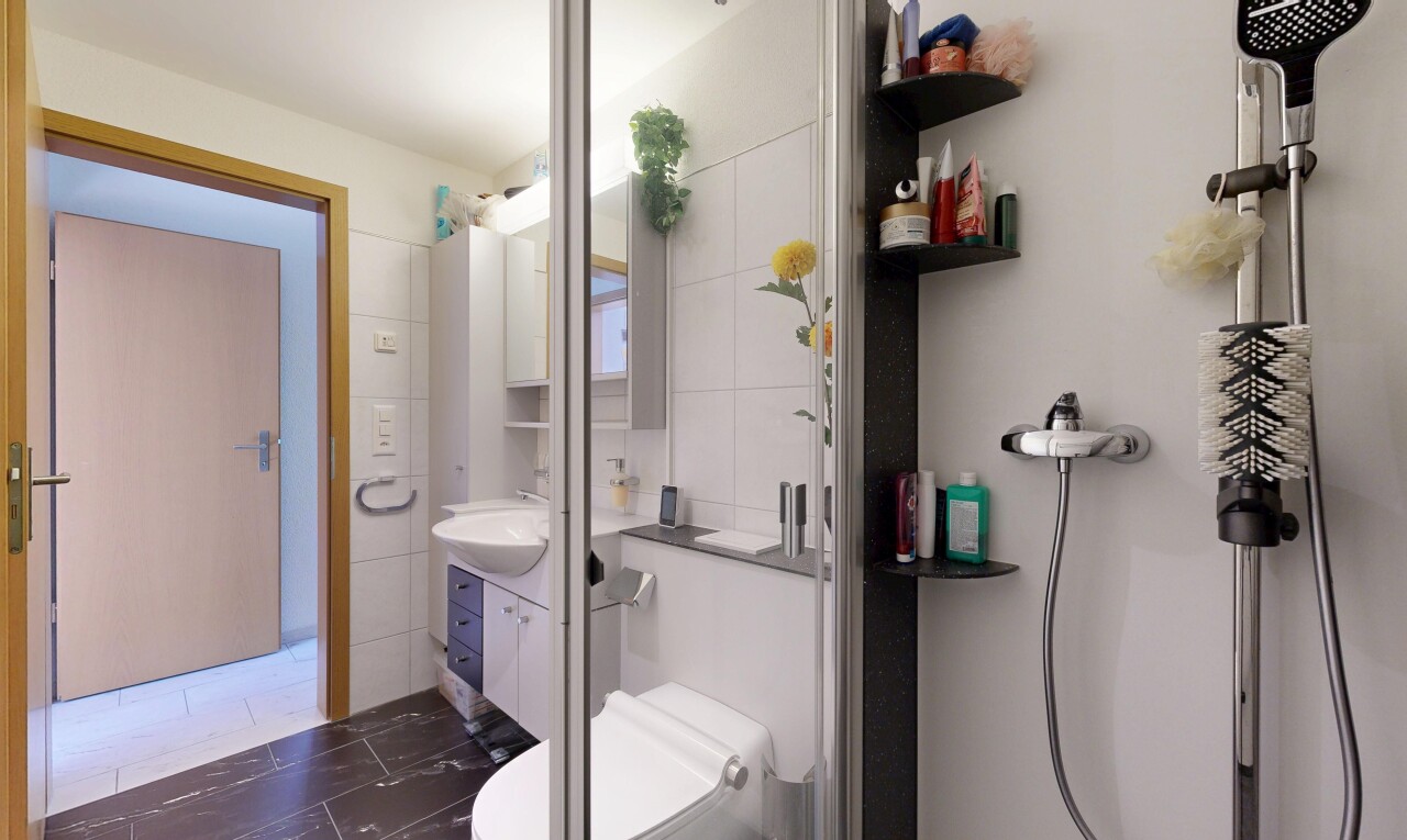 salle de bains avec douche, lavabo (ou coiffeuse selon le contexte), miroir, toilette, et inside property