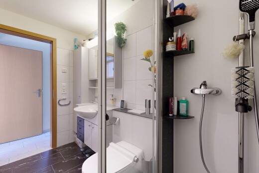 salle de bains avec douche, lavabo (ou coiffeuse selon le contexte), miroir, toilette, et inside property