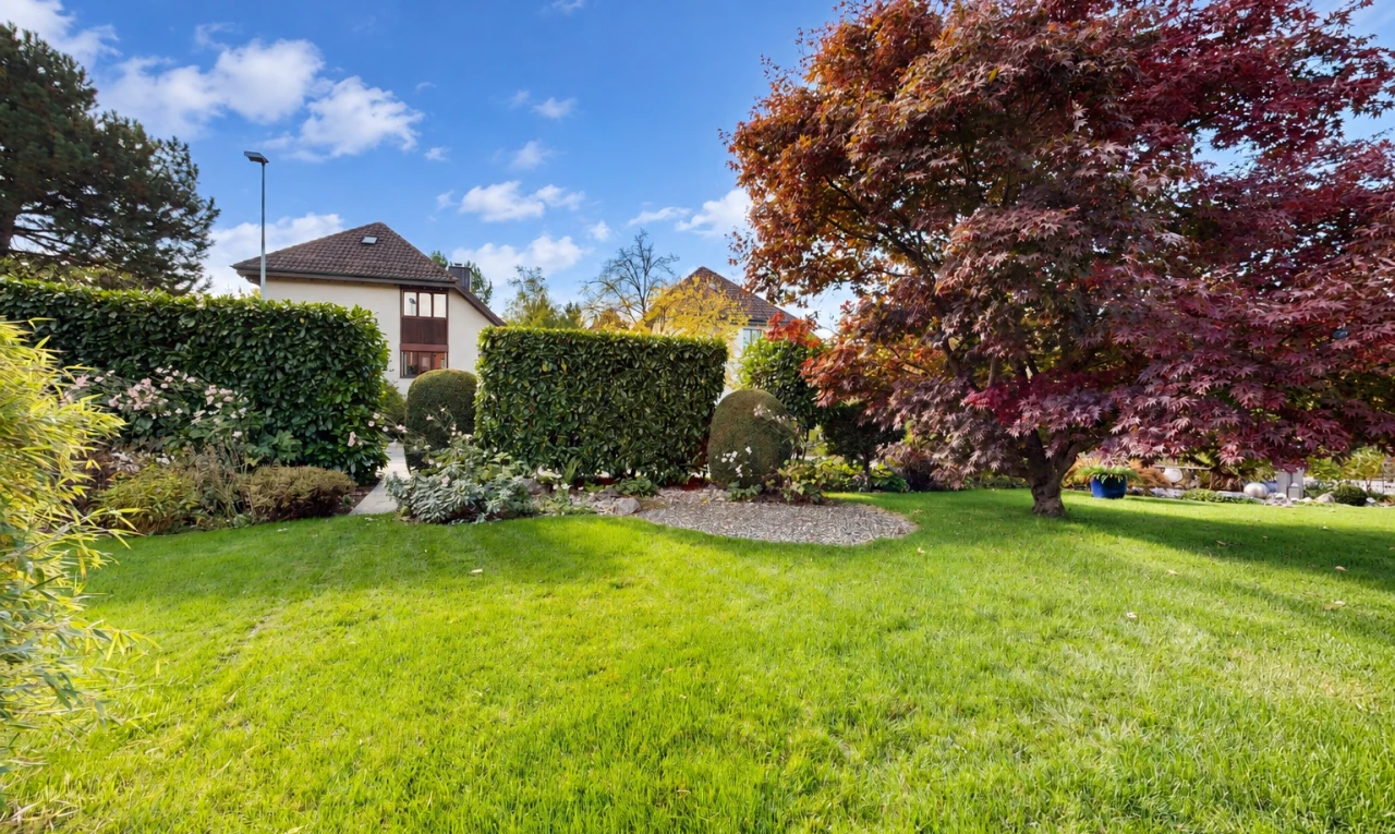 garden with a lawn