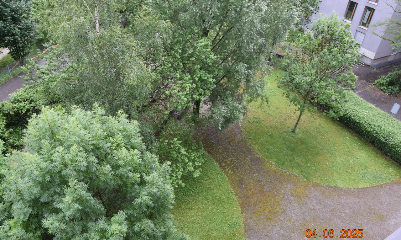 jardin