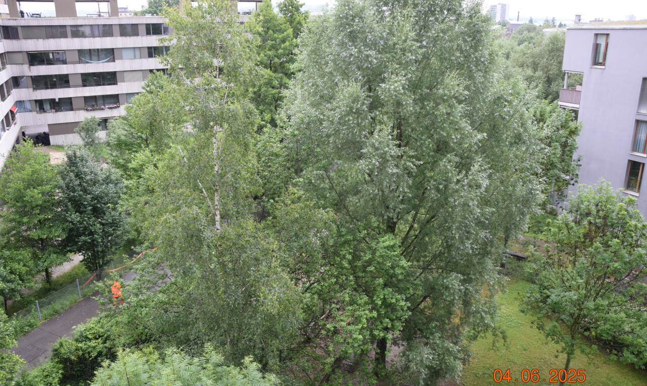 extérieur du bâtiment avec overcast