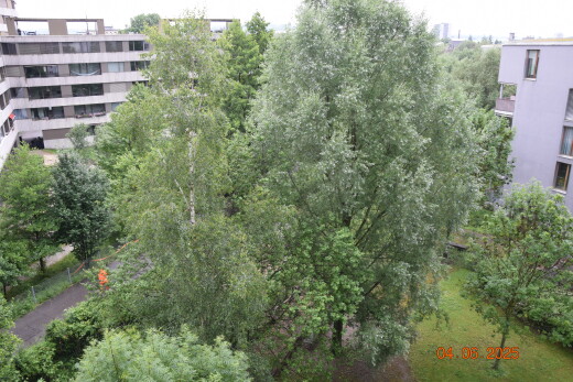 außenansicht mit overcast