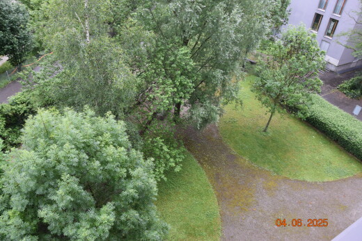 jardin