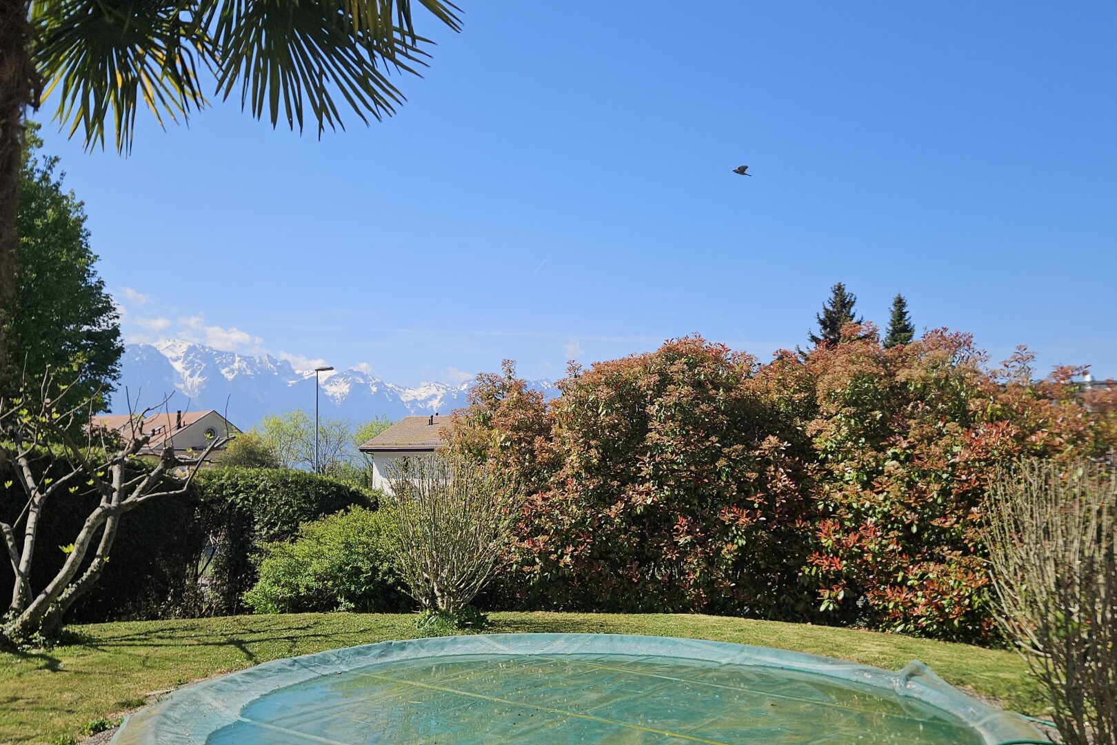 piscine avec piscine, day time, from property, et pelouse