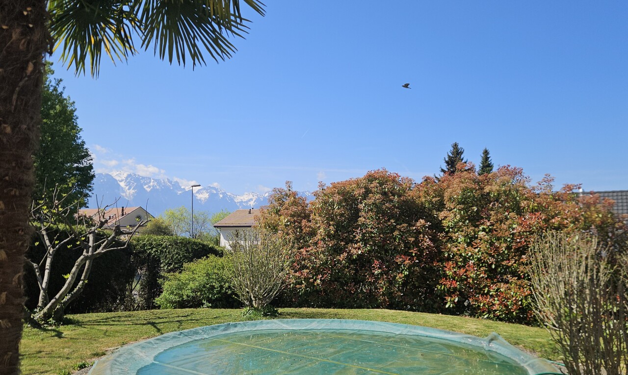 piscine avec piscine, day time, from property, et pelouse