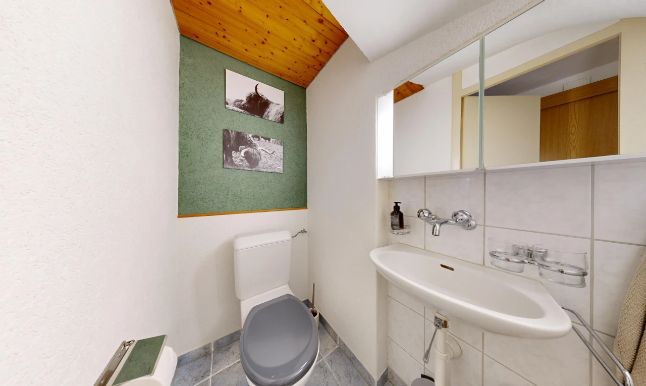 bad mit toilette, gäste-wc, spiegel, waschbecken, und holzdecke