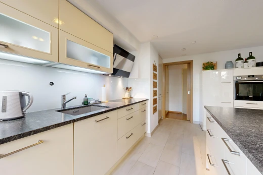 küche mit dark countertops, ofen, schränke mit glastüren, glass insert cabinets, und waschbecken