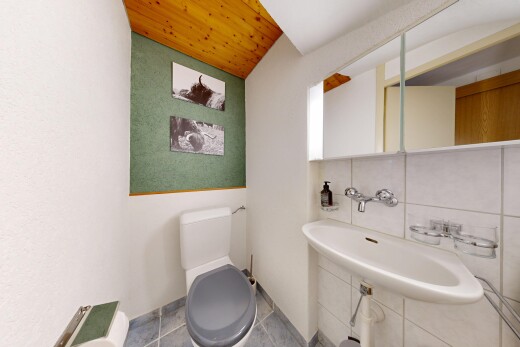 bad mit toilette, gäste-wc, spiegel, waschbecken, und holzdecke