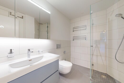 bad mit dusche, spiegel, komplettes badezimmer, schminktisch, und inside property