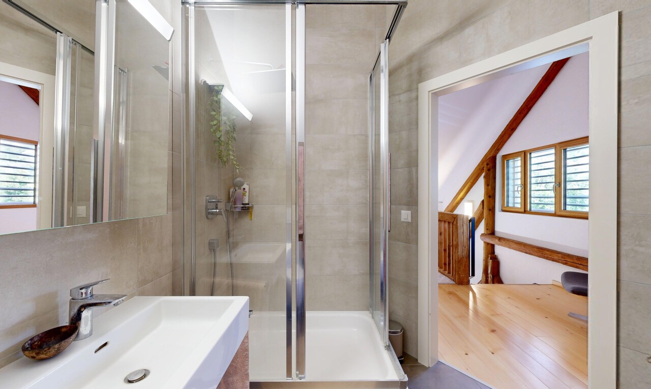 salle de bains avec évier, salle de bain complète, douche, miroir, et inside property