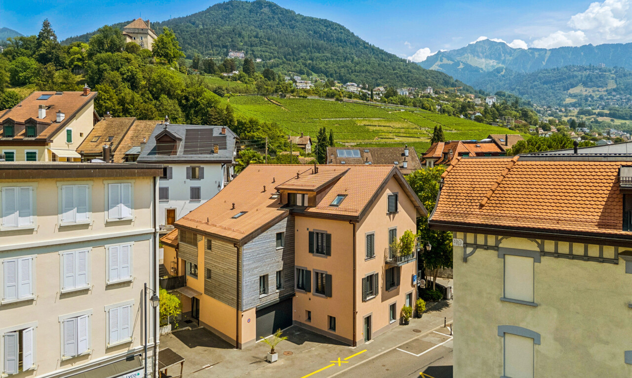 vue sur la montagne avec mountain view, vue sur la montagne, day time, et drone view