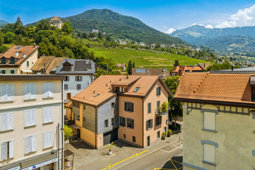 vue sur la montagne avec mountain view, vue sur la montagne, day time, et drone view