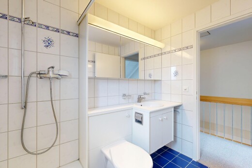 bad mit tile wall, fliesenwand, komplettes badezimmer, schminktisch, und inside property