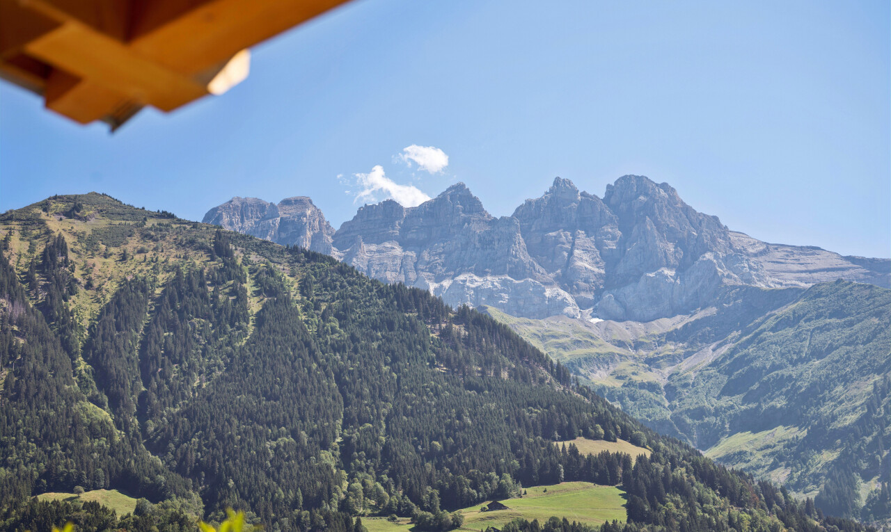 view of mountain background
