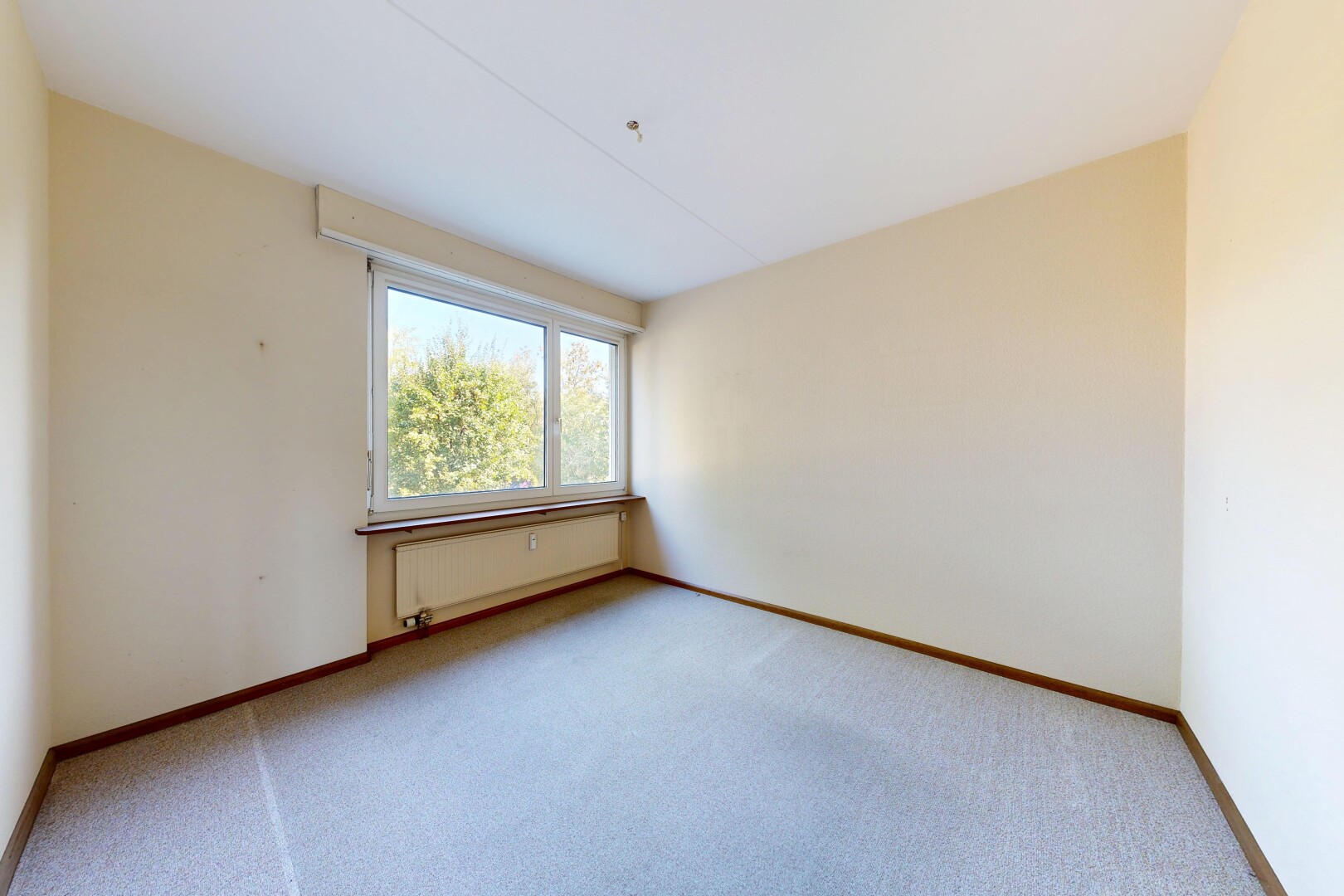 leerer raum mit drywall, gipskartonwand, carpet, teppich, und inside property