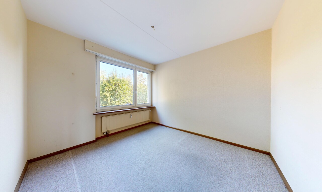leerer raum mit drywall, gipskartonwand, carpet, teppich, und inside property