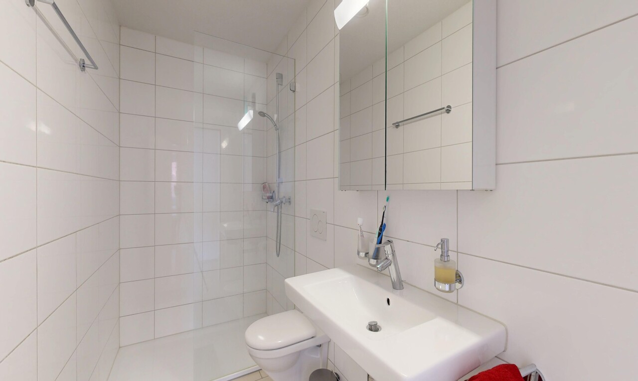 bad mit toilette, spiegel, dusche, komplettes badezimmer, und inside property