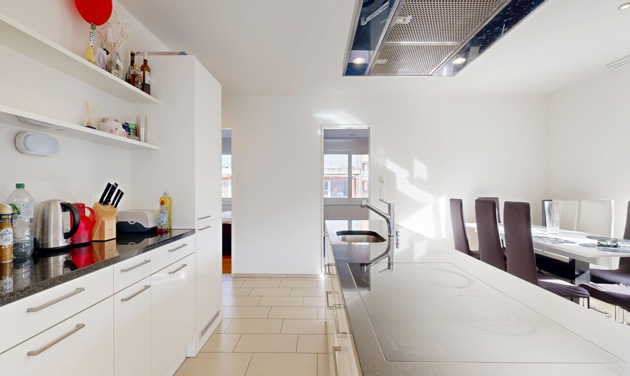 küche mit dunstabzugshaube, weiße schränke, white cabinets, schränke mit flachen paneelen, und flat panel cabinets