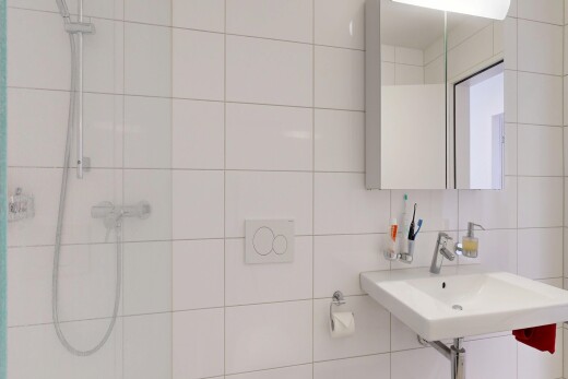 salle de bains avec miroir, mur en carrelage, tile wall, douche, et salle de bain complète