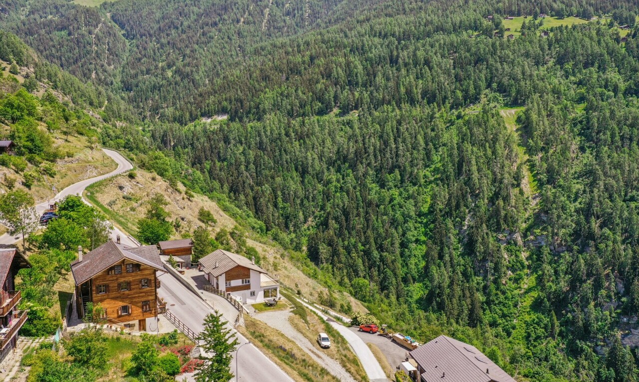 vue sur la montagne avec vue sur la forêt, forest view, et aerial view