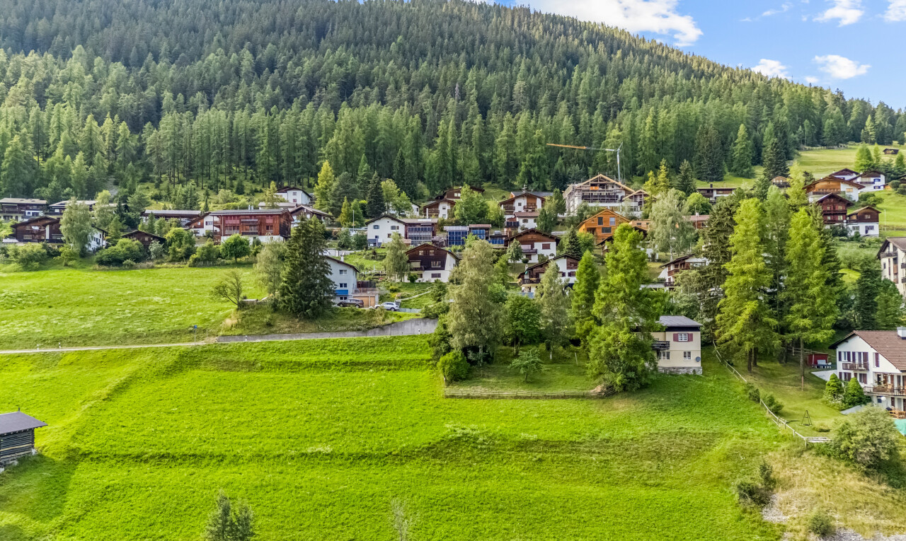 blick auf die berge mit forest view, waldblick, und day time