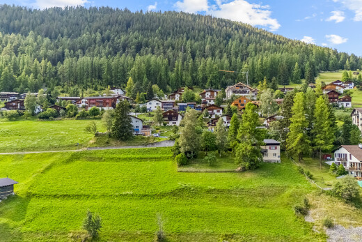 blick auf die berge mit forest view, waldblick, und day time