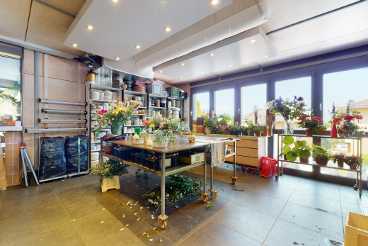 innenraum mit natürlichem licht