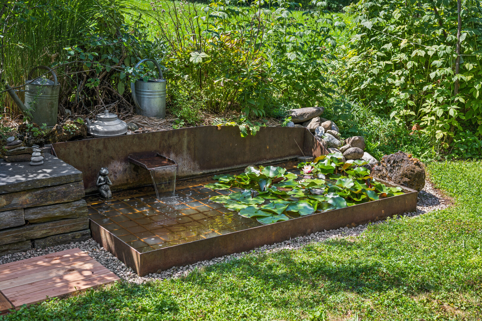 garten mit rasen