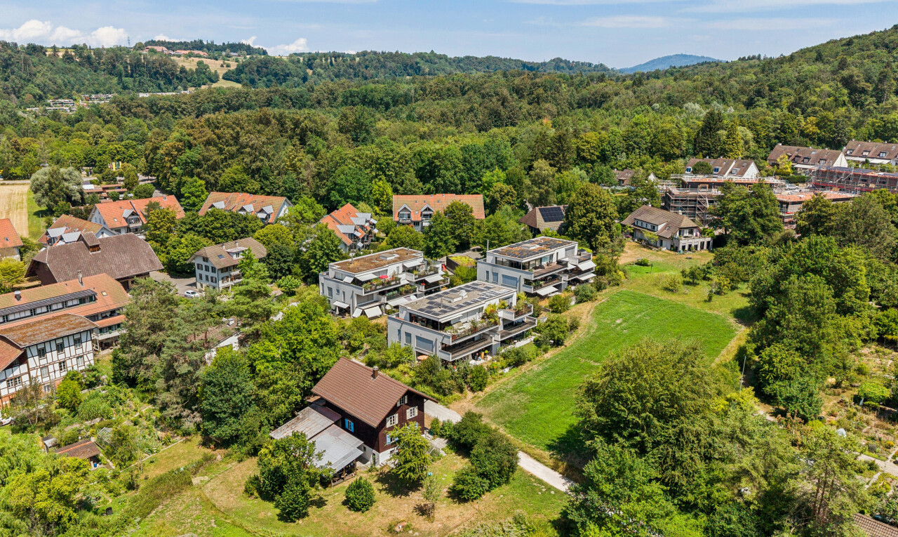 blick auf die berge mit day time, forest view, und waldblick