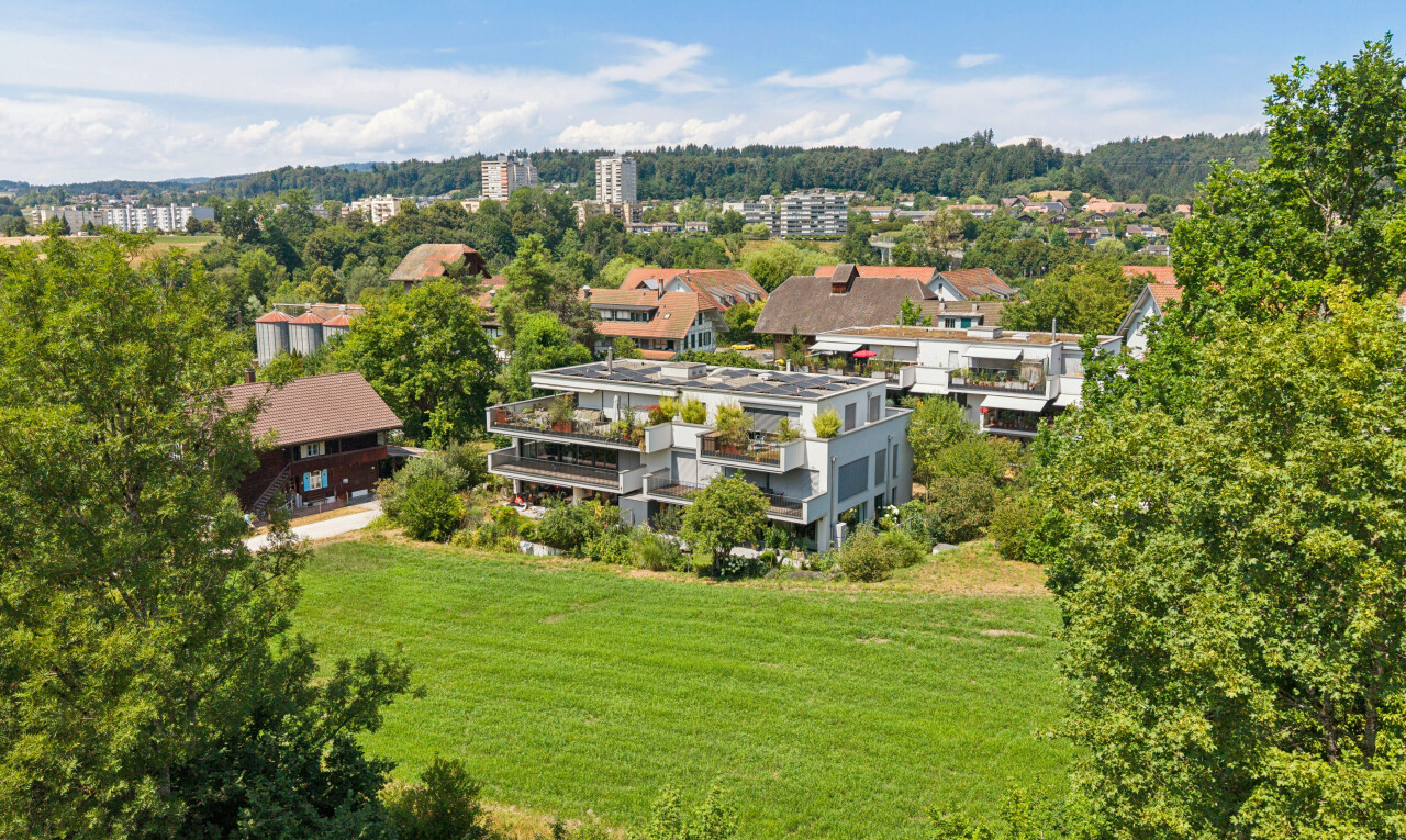 außenansicht mit day time, rasen, woods view, und waldblick