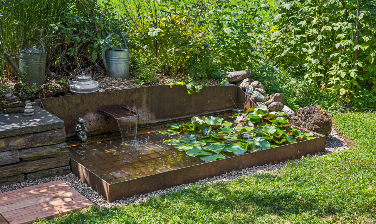garten mit rasen