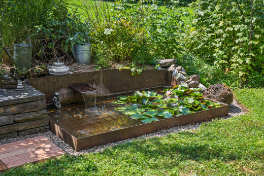 garten mit rasen