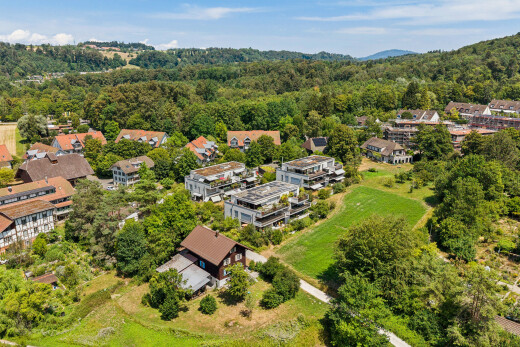 blick auf die berge mit day time, forest view, und waldblick