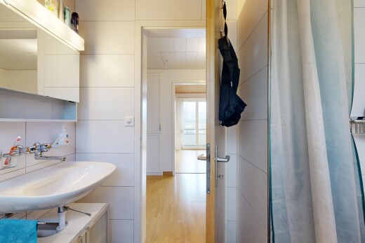 salle de bains avec miroir, évier, douche, inside property, et sol en finition bois