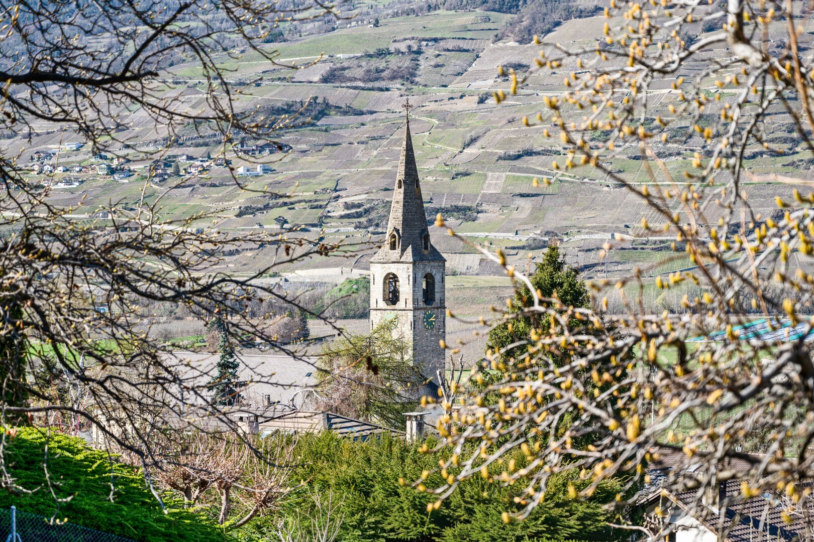 vue sur la montagne