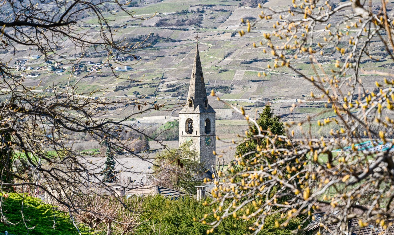 vue sur la montagne